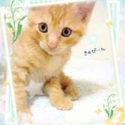 ヒメ日記 2026/04/04 06:46 投稿 小沢 熟女待機所 厚木店