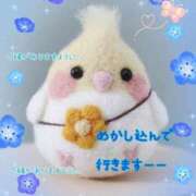 ヒメ日記 2026/04/06 07:06 投稿 小沢 熟女待機所 厚木店