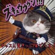 ヒメ日記 2026/04/07 07:06 投稿 小沢 熟女待機所 厚木店