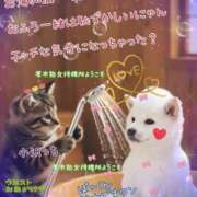 ヒメ日記 2026/04/18 07:05 投稿 小沢 熟女待機所 厚木店