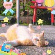ヒメ日記 2026/05/06 13:06 投稿 小沢 熟女待機所 厚木店