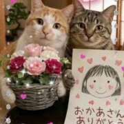 ヒメ日記 2026/05/10 11:25 投稿 小沢 熟女待機所 厚木店