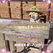 ヒメ日記 2026/05/28 09:45 投稿 小沢 熟女待機所 厚木店