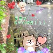 ヒメ日記 2026/06/10 12:06 投稿 小沢 熟女待機所 厚木店