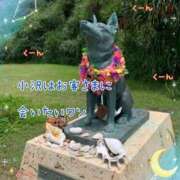 ヒメ日記 2026/07/04 13:06 投稿 小沢 熟女待機所 厚木店