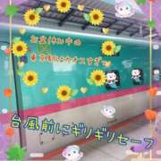 ヒメ日記 2026/08/11 18:06 投稿 小沢 熟女待機所 厚木店