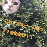 ヒメ日記 2026/08/11 18:46 投稿 小沢 熟女待機所 厚木店