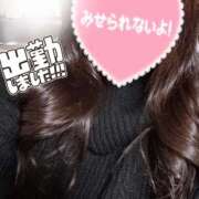 ヒメ日記 2024/12/27 18:38 投稿 せな 千葉松戸ちゃんこ