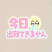 ヒメ日記 2025/01/24 16:48 投稿 せな 千葉松戸ちゃんこ