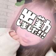 ヒメ日記 2025/02/05 17:23 投稿 せな 千葉松戸ちゃんこ