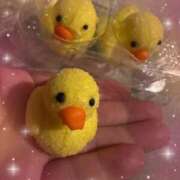 ヒメ日記 2025/03/01 20:54 投稿 せな 千葉松戸ちゃんこ