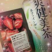 ヒメ日記 2025/03/09 07:18 投稿 せな 千葉松戸ちゃんこ