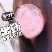 ヒメ日記 2025/03/23 18:15 投稿 せな 千葉松戸ちゃんこ