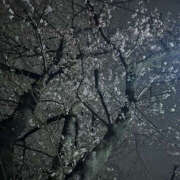 ヒメ日記 2025/04/01 18:24 投稿 せな 千葉松戸ちゃんこ