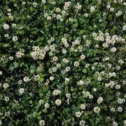 ヒメ日記 2025/05/07 18:37 投稿 せな 千葉松戸ちゃんこ