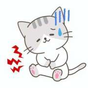 ヒメ日記 2025/05/14 15:32 投稿 せな 千葉松戸ちゃんこ