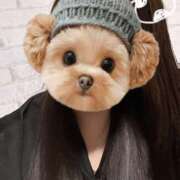 ヒメ日記 2025/05/28 19:04 投稿 せな 千葉松戸ちゃんこ