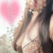 ヒメ日記 2025/06/26 09:25 投稿 せな 千葉松戸ちゃんこ