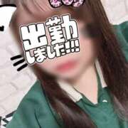 ヒメ日記 2025/06/28 17:56 投稿 せな 千葉松戸ちゃんこ