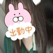 ヒメ日記 2025/07/08 18:06 投稿 せな 千葉松戸ちゃんこ