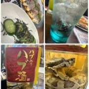 ヒメ日記 2025/09/07 16:18 投稿 せな 千葉松戸ちゃんこ