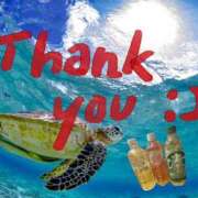 せな お礼です 千葉松戸ちゃんこ