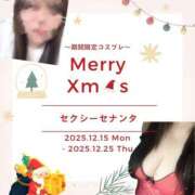 ヒメ日記 2025/12/14 15:23 投稿 せな 千葉松戸ちゃんこ