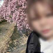 ヒメ日記 2026/03/07 14:56 投稿 せな 千葉松戸ちゃんこ