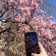 ヒメ日記 2026/03/08 03:54 投稿 せな 千葉松戸ちゃんこ