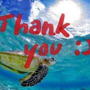 ヒメ日記 2026/04/24 22:55 投稿 せな 千葉松戸ちゃんこ