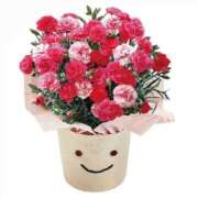 加山しあん 💐 Mrs. Dandy Haneda