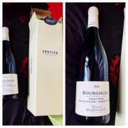 ヒメ日記 2025/04/19 12:12 投稿 佐々波エヴァ Mrs. Dandy Haneda