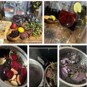 ヒメ日記 2025/06/30 07:51 投稿 佐々波エヴァ Mrs. Dandy Haneda