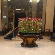 ヒメ日記 2025/09/15 07:51 投稿 佐々波エヴァ Mrs. Dandy Haneda