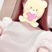 ヒメ日記 2025/11/29 00:36 投稿 永瀬あいか Mrs. Dandy Haneda