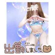 ヒメ日記 2025/02/23 22:07 投稿 浦田ねね Mrs. Dandy Haneda