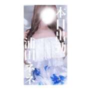 ヒメ日記 2025/04/13 17:25 投稿 浦田ねね Mrs. Dandy Haneda