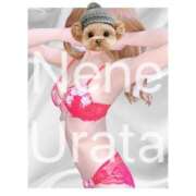 ヒメ日記 2025/05/20 11:21 投稿 浦田ねね Mrs. Dandy Haneda