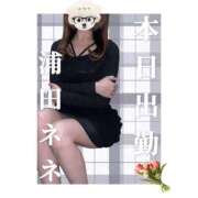 ヒメ日記 2025/06/10 15:30 投稿 浦田ねね Mrs. Dandy Haneda