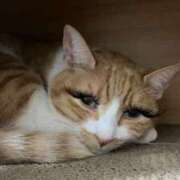 ヒメ日記 2025/11/17 22:57 投稿 ミドリ キスMy