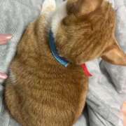 ミドリ おはようございます🐈🐈🐾 キスMy