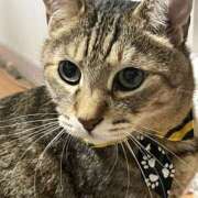 ミドリ 🎀来週の予定🎀 キスMy