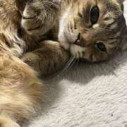 ヒメ日記 2026/01/07 13:55 投稿 ミドリ キスMy