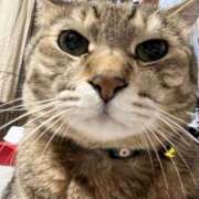 ミドリ 今週の予定🐈⸒⸒ キスMy