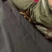 ヒメ日記 2024/12/12 17:30 投稿 倉木せりか Mrs. Dandy Haneda