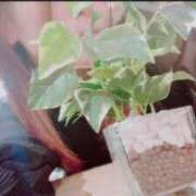 ヒメ日記 2025/03/30 11:11 投稿 吉川なつ Mrs. Dandy Haneda