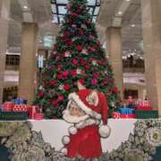 ヒメ日記 2025/12/05 23:31 投稿 白沢ゆり Mrs. Dandy Haneda