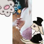 ヒメ日記 2026/02/04 13:12 投稿 こきん 香川サンキュー