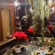 ヒメ日記 2024/12/25 15:18 投稿 みちる One More奥様　立川店