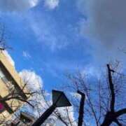 ヒメ日記 2025/04/03 23:39 投稿 高輪けい Mrs. Dandy Haneda